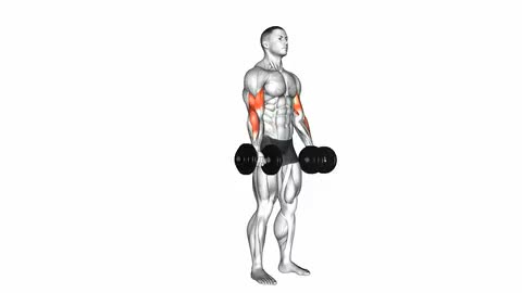 Dumbbell Biceps Curl