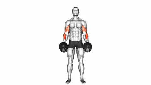 Dumbbell Cross Body Hammer Curl