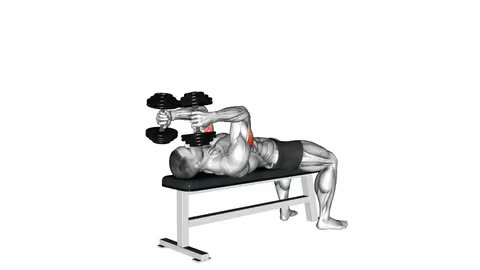 Dumbbell Lying Triceps Extension