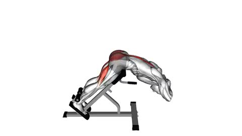 45 Degree Hyperextension