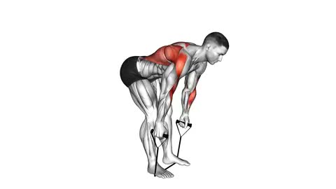 Band Bent-over Row