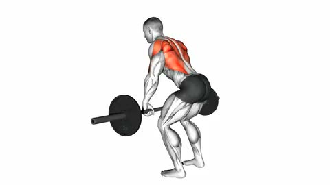 Barbell Bent-over Row Overgrip