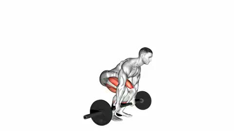 Barbell Straight Leg Deadlift