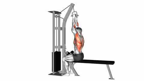 Cable Seated High Row (V-bar)