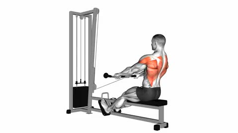 Cable Seated Row (normal grip)