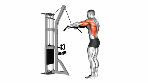 Cable Straight Arm Pulldown