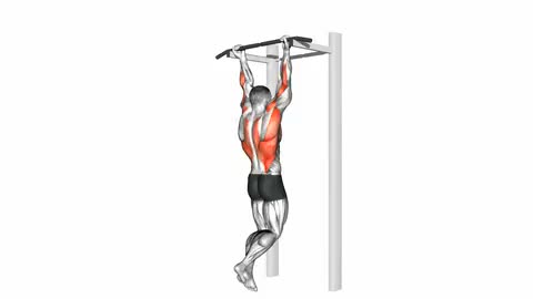 Chin-ups Pull-Ups