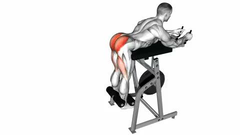 Lever Reverse Hyperextension
