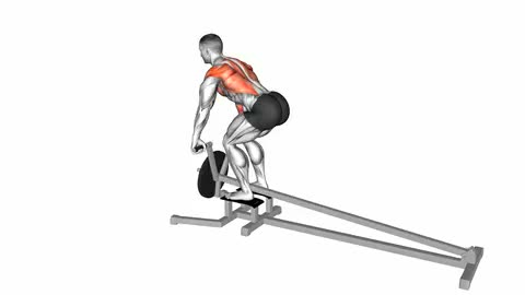 Lever T-bar Row