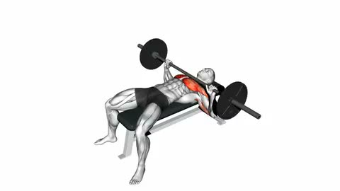 Barbell Bench Press
