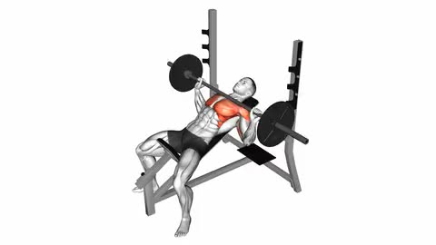 Barbell Incline Bench Press