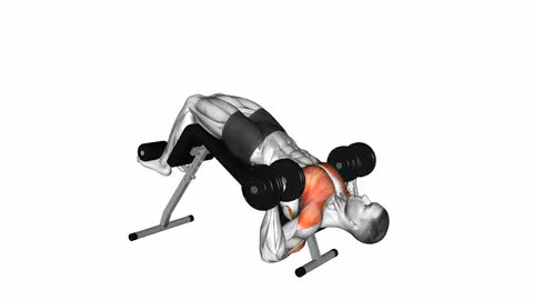 Decline Dumbbell Bench Press (45 degree)