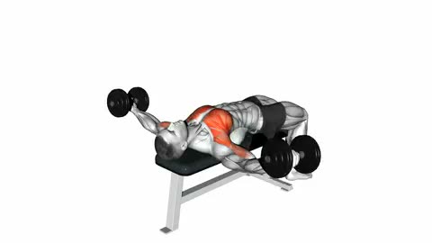 Dumbbell Fly