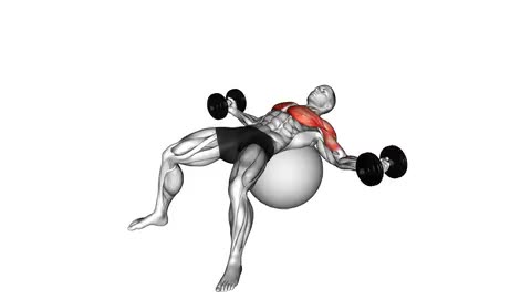 Dumbbell Fly On Exercise Ball