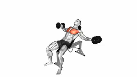 Dumbbell Incline Fly