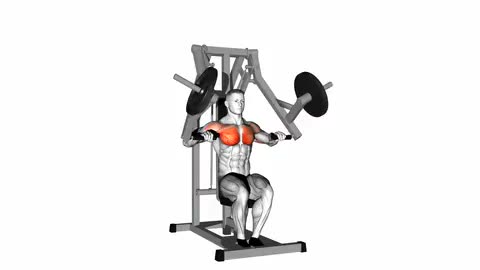 Lever Chest Press