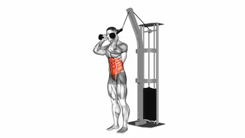 Cable Standing Crunch