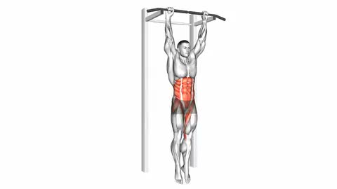 Hanging Leg Hip Raise