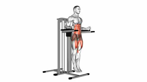 Vertical Leg Raise (on parallel bars)