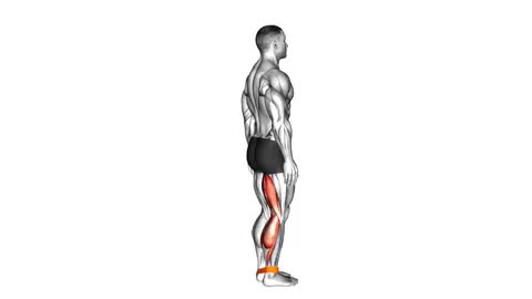 Band Leg Curl