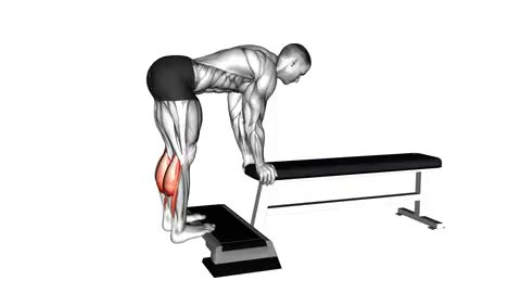 Donkey Calf Raise
