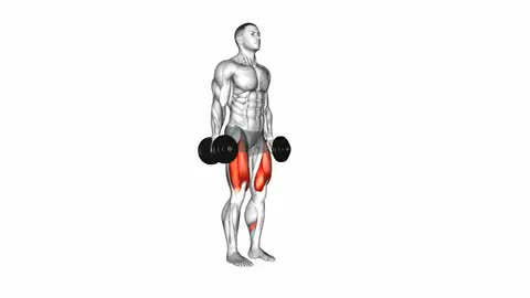 Dumbbell Lunge