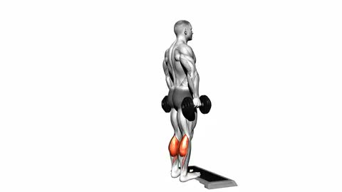 Dumbbell Standing Calf Raise