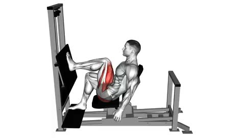 Lever Horizontal Leg Press
