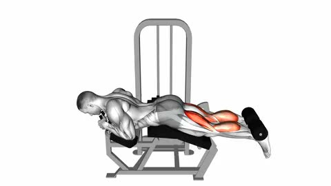 Lever Lying Leg Curl