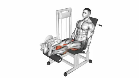Lever Seated Leg Curl