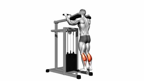 Lever Standing Calf Raise