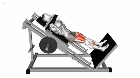 Sled Hack Squat