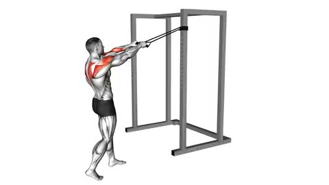 Band Standing Rear Delt Row