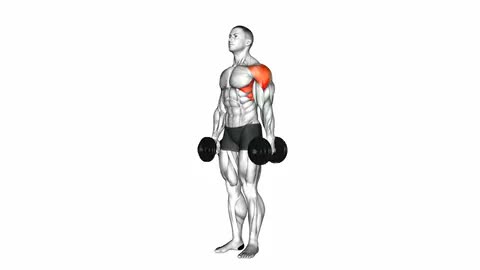 Dumbbell Lateral Raise