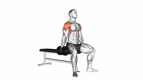 Dumbbell Seated Lateral Raise
