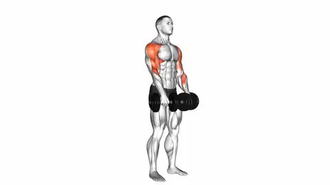 Dumbbell Upright Row