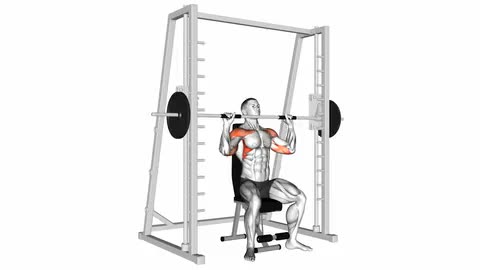 Smith Seated Shoulder Press